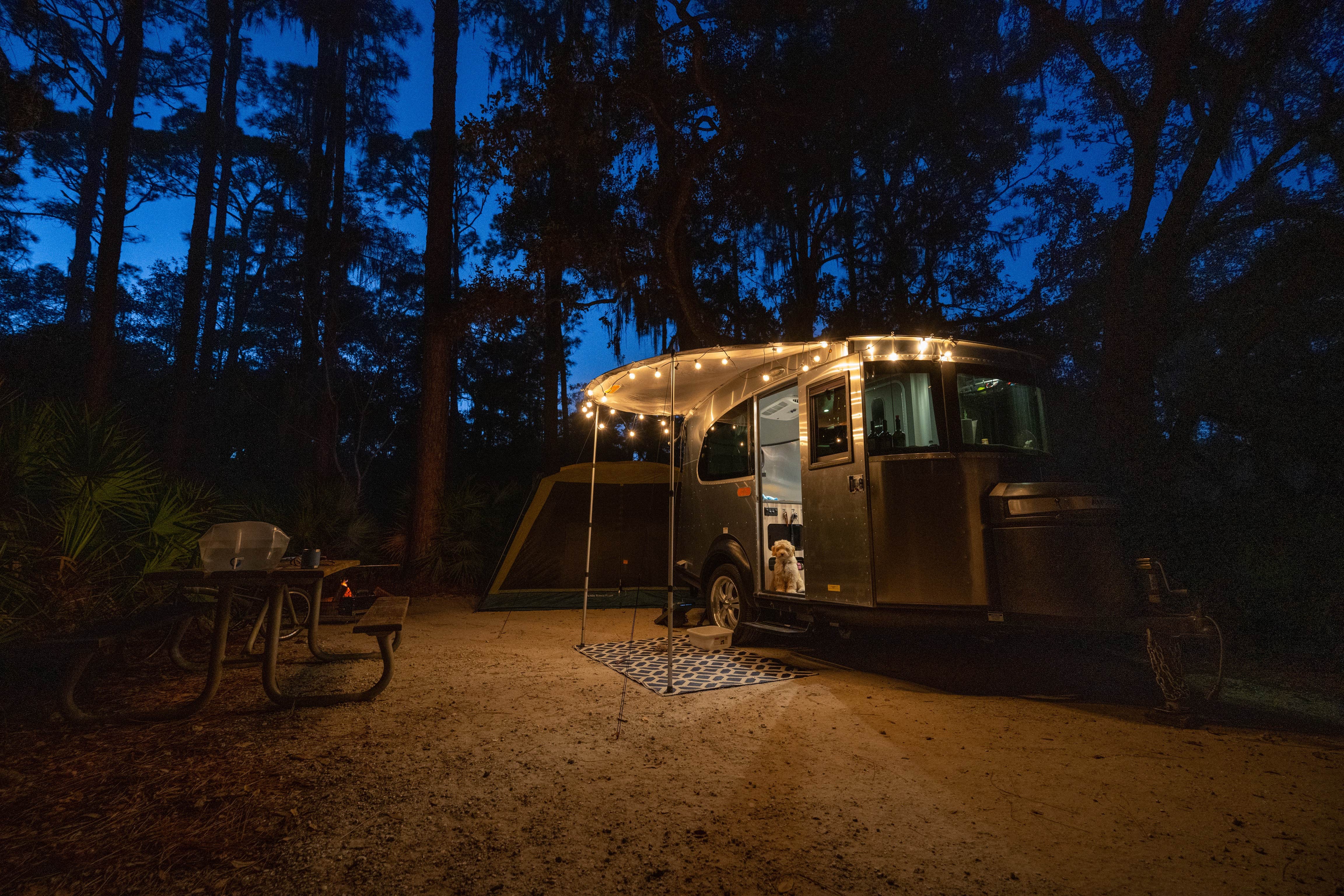 Camper submitted image from Lake Kissimmee State Park Campground - 4