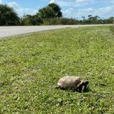 Review photo of Pine Grove Campground — Jonathan Dickinson State Park by Perry J., February 12, 2021