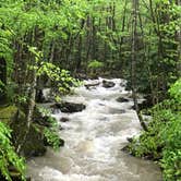 Review photo of Glade Creek Campground — New River Gorge National Park and Preserve by Dave V., May 29, 2018