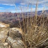 Review photo of Trailer Village RV Park — Grand Canyon National Park by Debra B., February 12, 2021