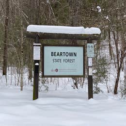 Beartown State Forest