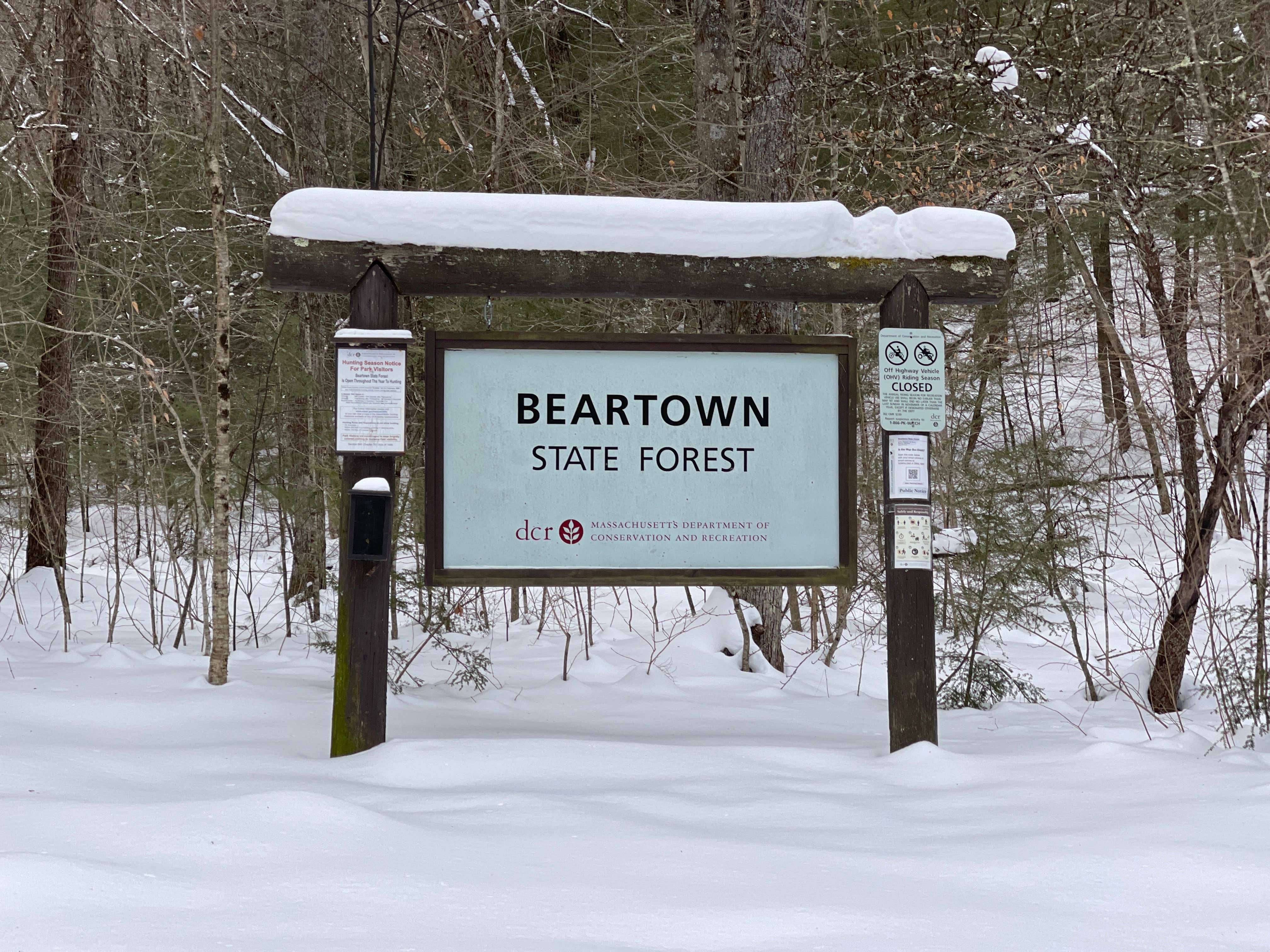 Camper submitted image from Beartown State Forest - 1