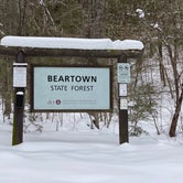 Review photo of Beartown State Forest by Cheryl B., February 12, 2021