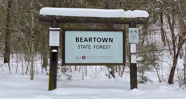 Beartown State Forest