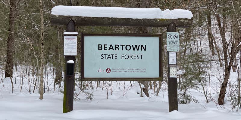 Camper submitted image from Beartown State Forest Campground