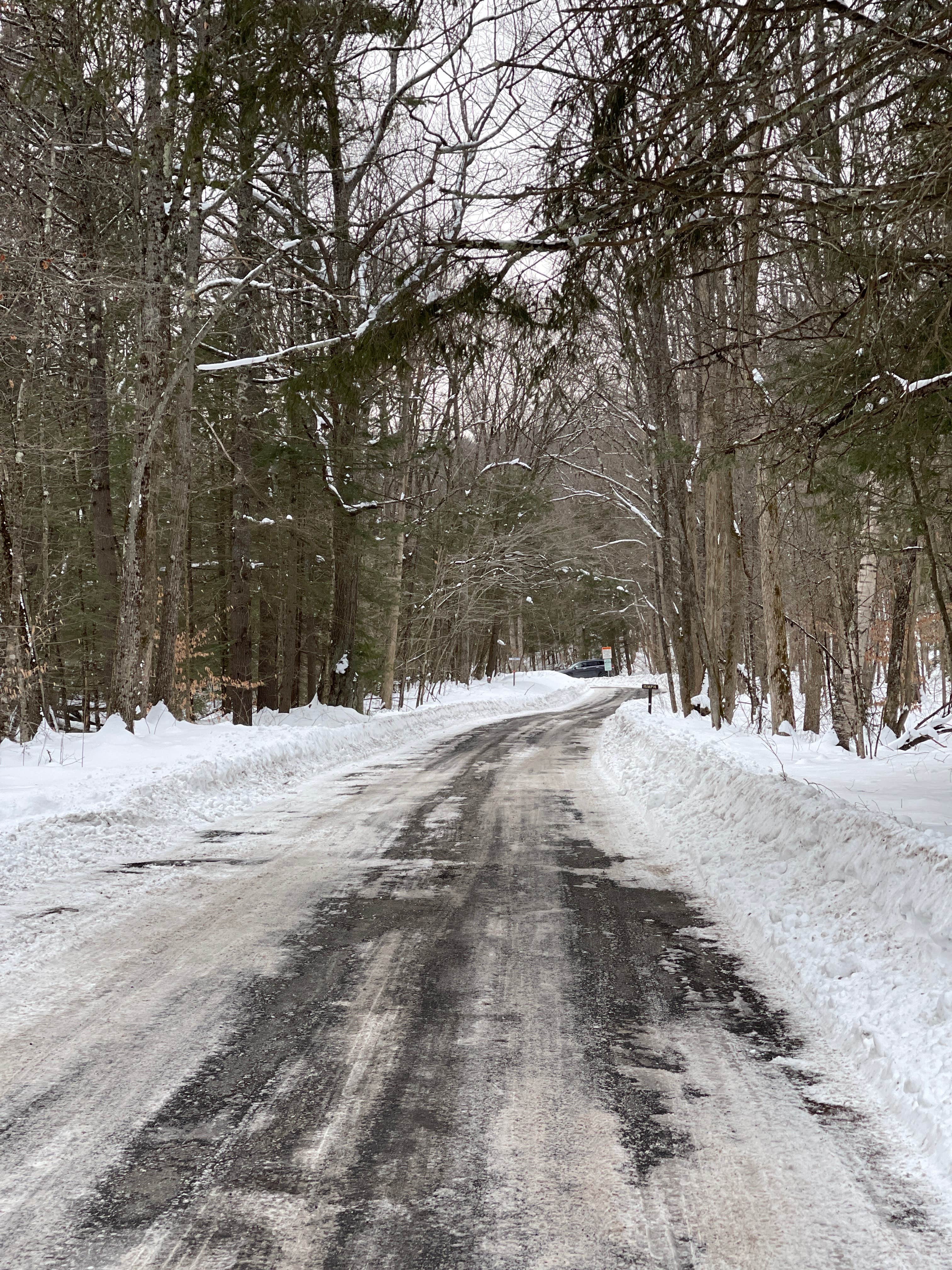 Camper-submitted photo at Beartown State Forest Campground near West Stockbridge, MA