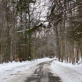 Review photo of Beartown State Forest by Cheryl B., February 12, 2021