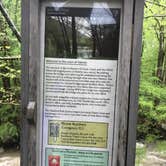 Review photo of Glade Creek Campground — New River Gorge National Park and Preserve by Dave V., May 29, 2018