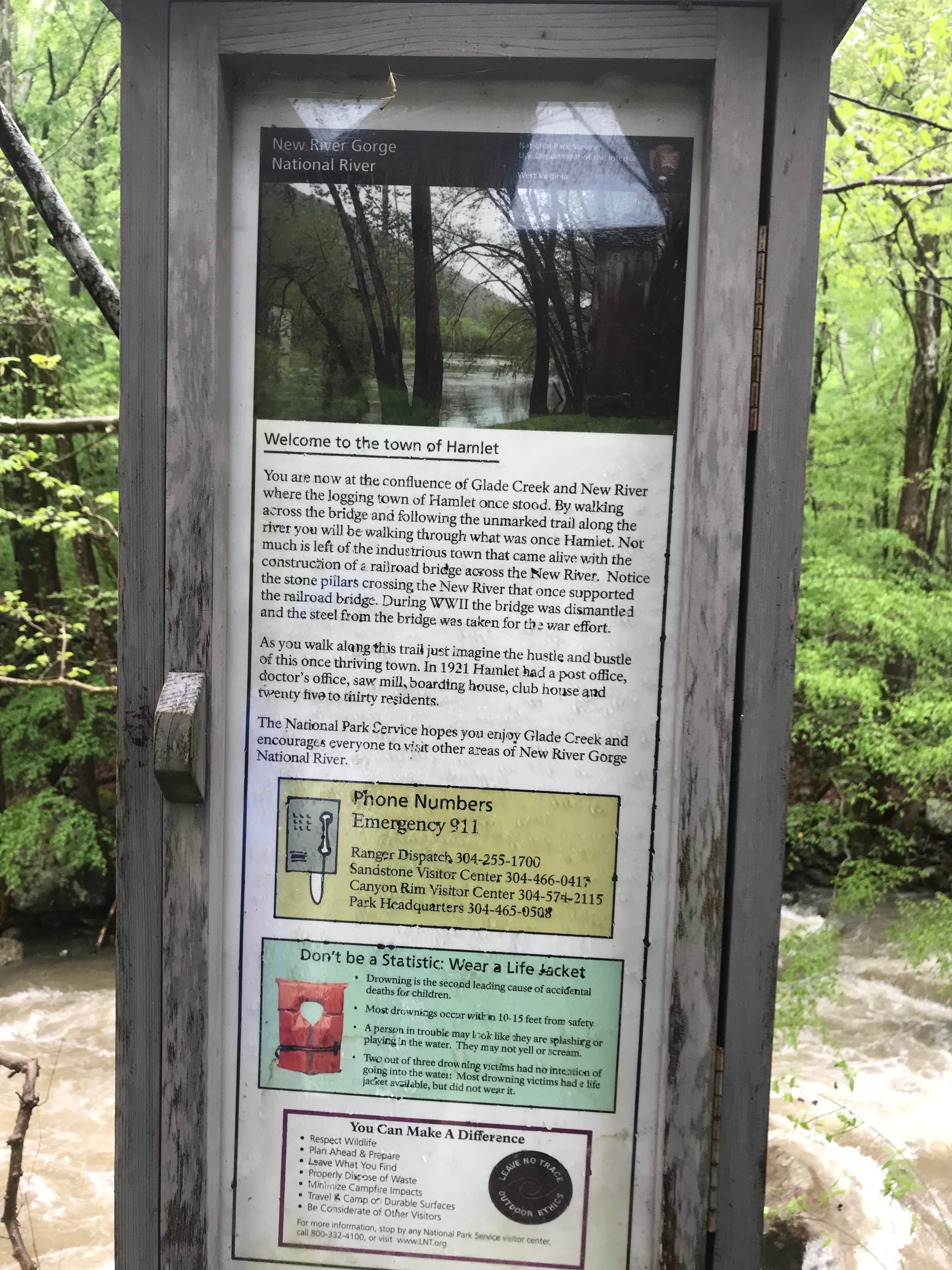 Camper submitted image from Glade Creek Campground — New River Gorge National Park and Preserve - 5