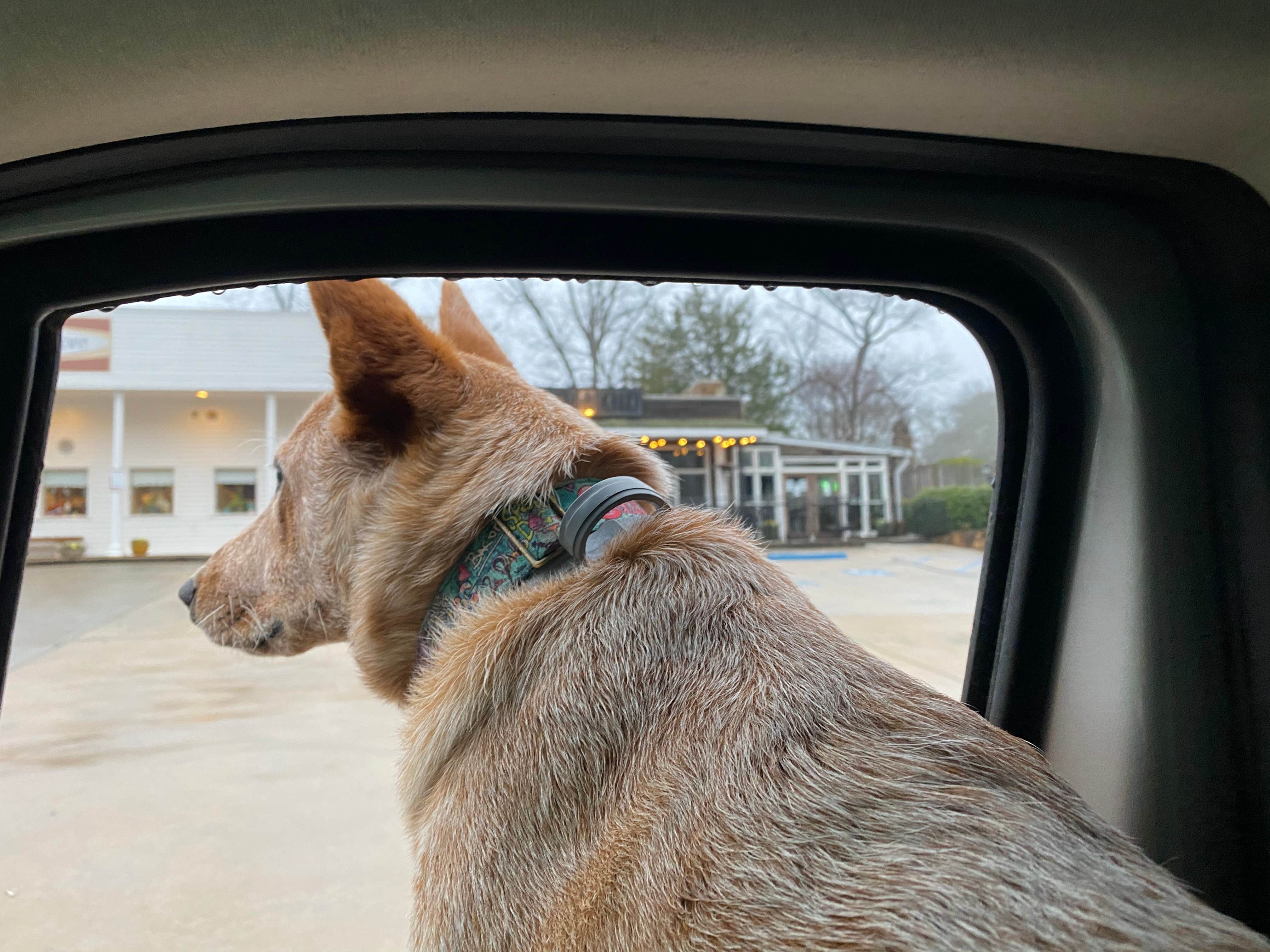 Camper-submitted photo at Indian Springs State Park Campground near Thomaston, GA
