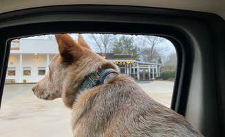 Shelly S.'s photo of camping with pets at Indian Springs State Park Campground near Conley, GA