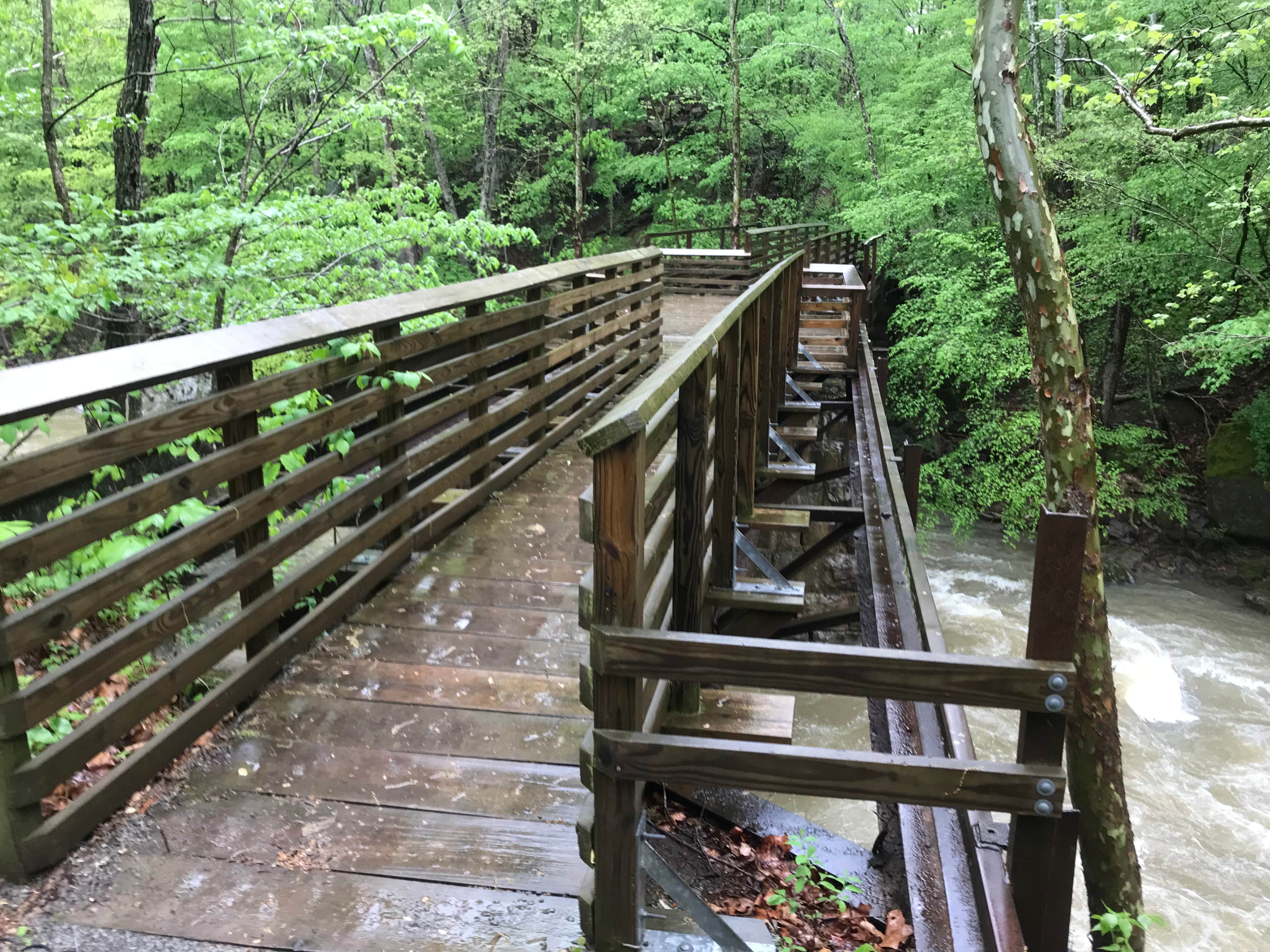Camper submitted image from Glade Creek Campground — New River Gorge National Park and Preserve - 2