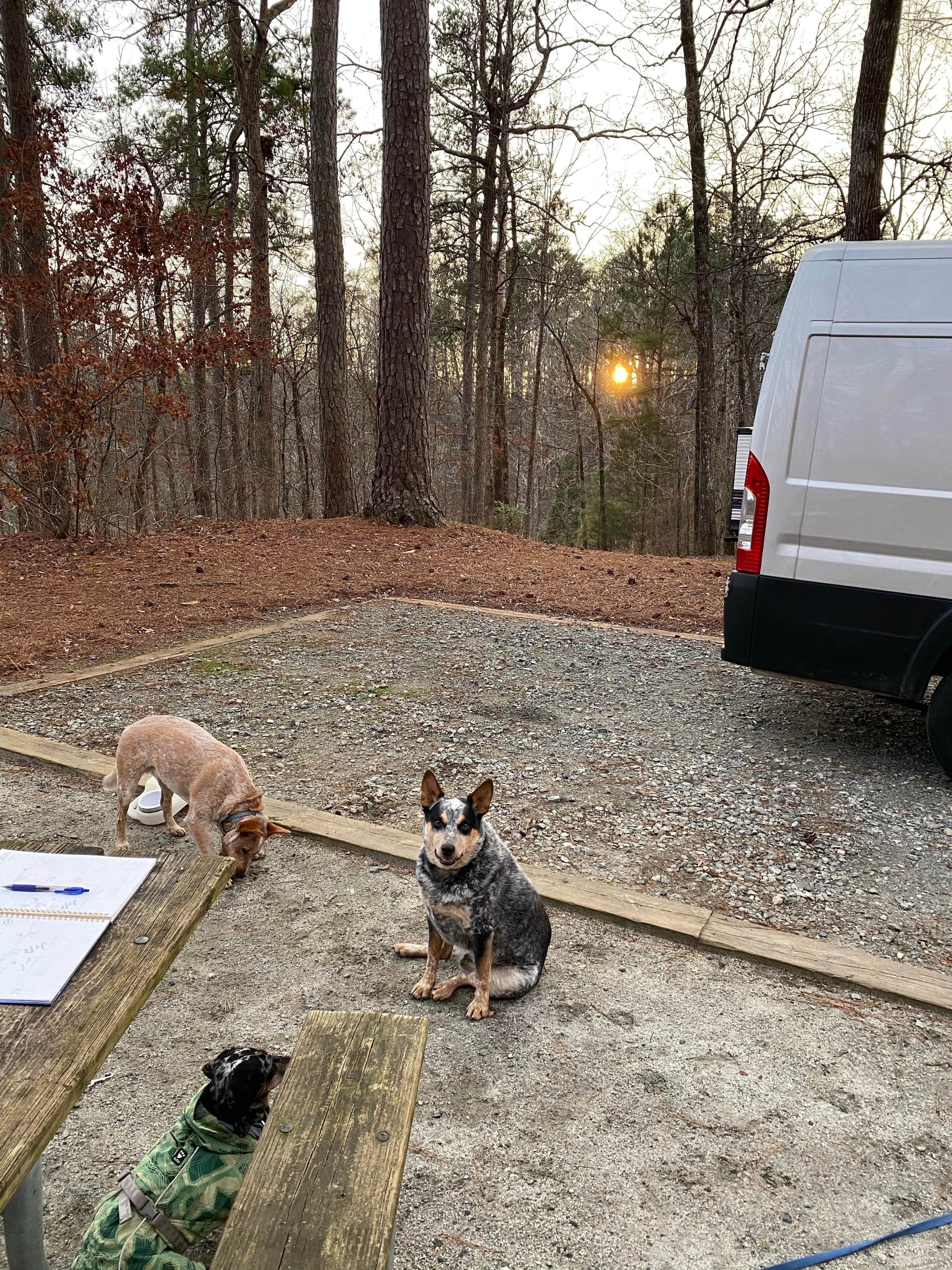 Shelly S.'s photo of rv camping at Indian Springs State Park Campground near Jonesboro, GA