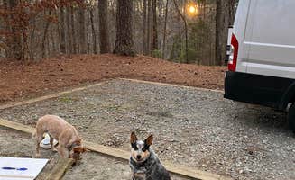 Shelly S.'s photo of rv camping at Indian Springs State Park Campground near Flovilla, GA