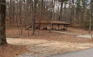 Shelly S.'s photo of camping with pets at Indian Springs State Park Campground near Centerville, GA