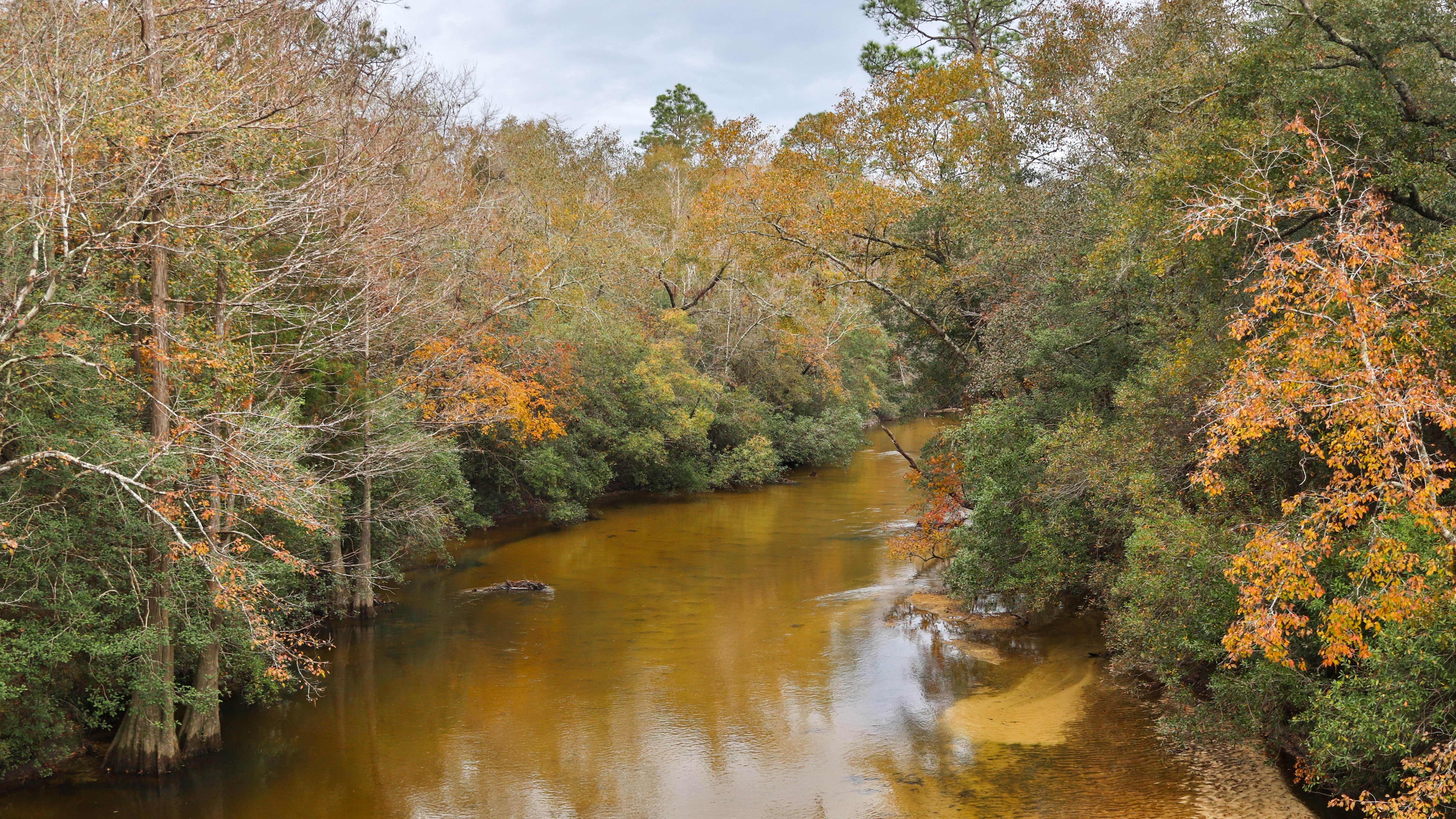 Camper submitted image from The Retreat RV & Campground On Styx River - 5