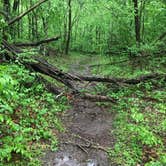 Review photo of Glade Creek Campground — New River Gorge National Park and Preserve by Dave V., May 29, 2018