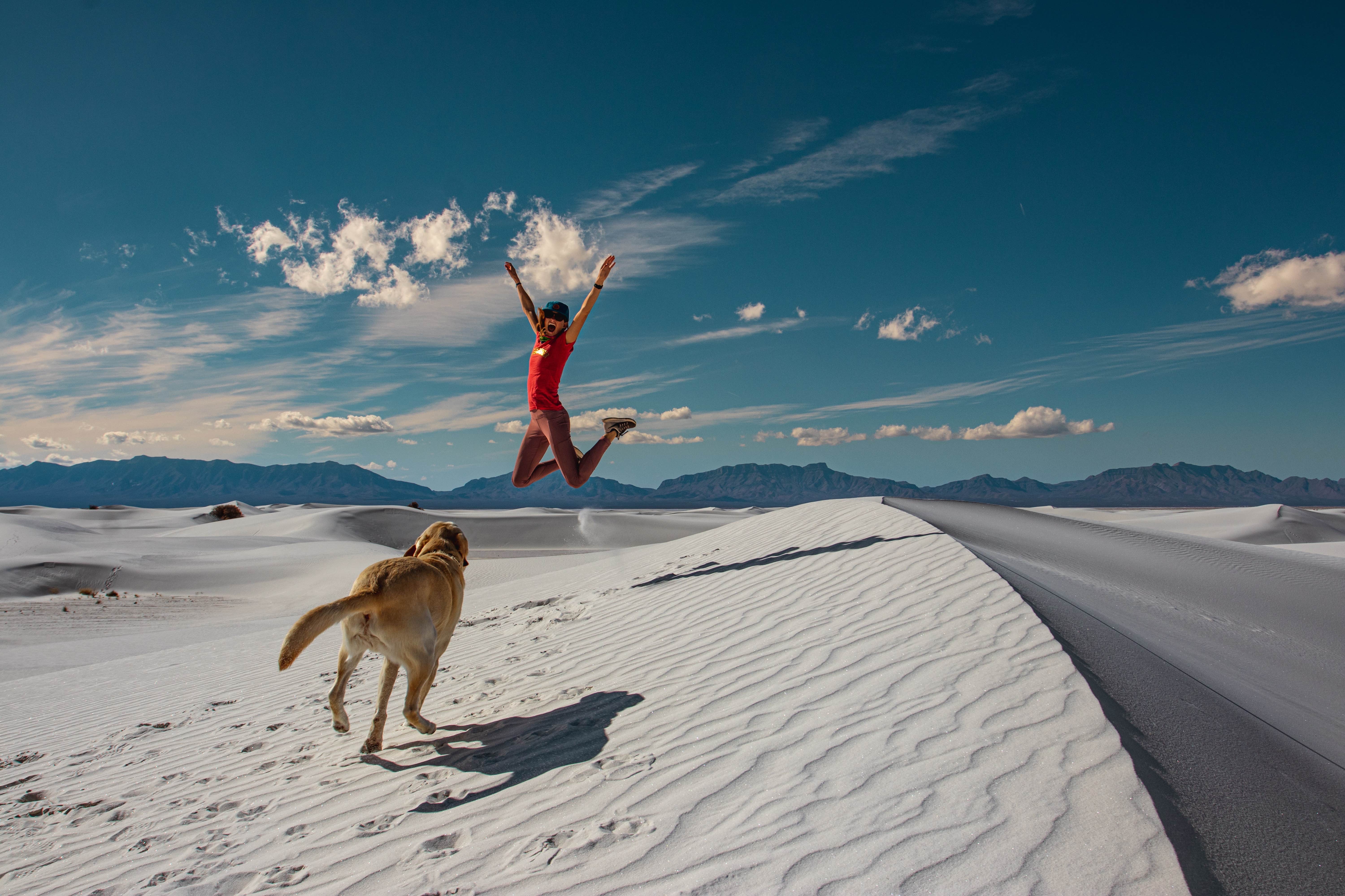 Carlyne F.'s photo of camping with pets at Hacienda RV Resort in New Mexico