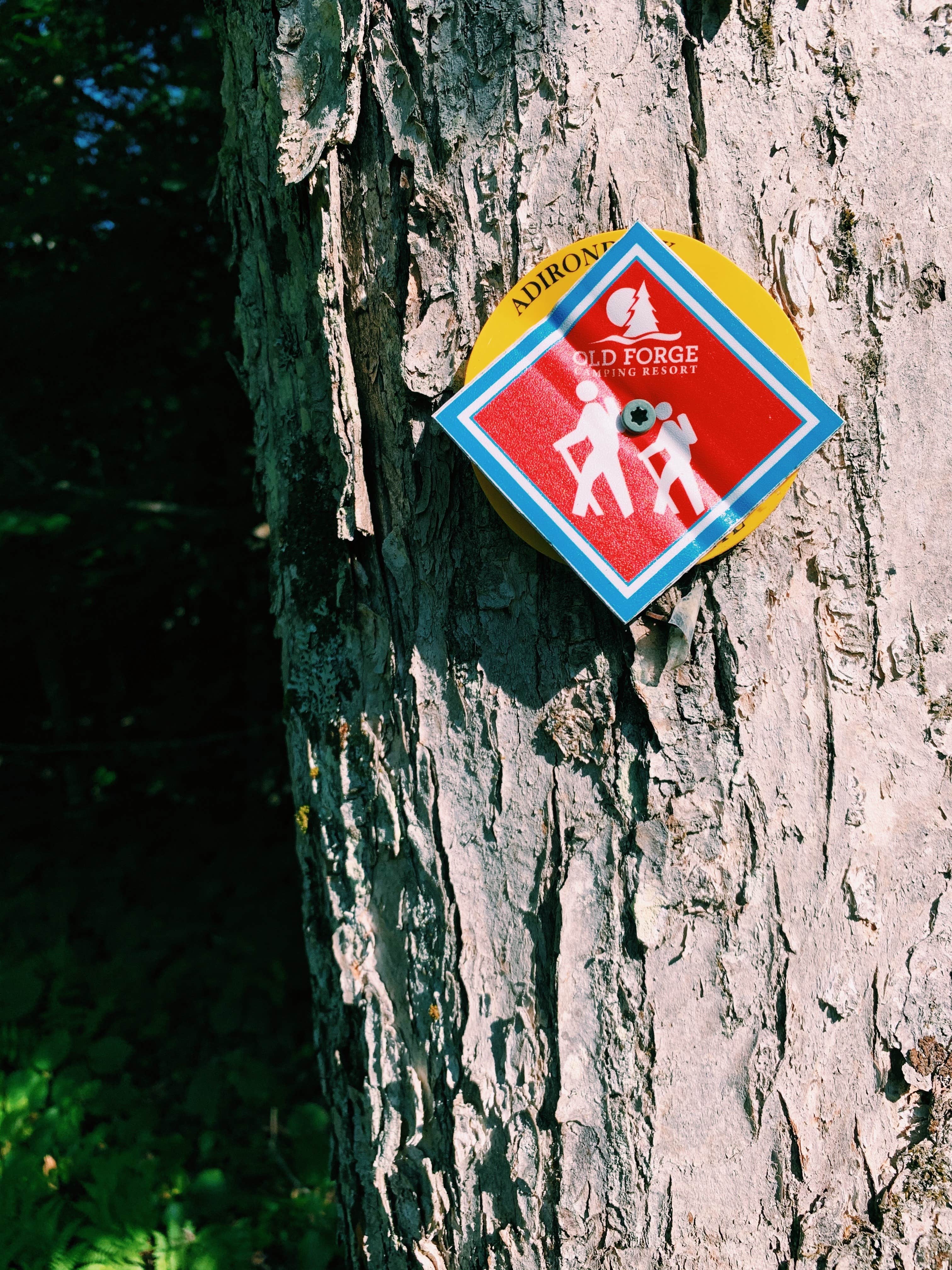 Old Forge Camping Resort