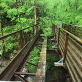 Review photo of Glade Creek Campground — New River Gorge National Park and Preserve by Dave V., May 29, 2018