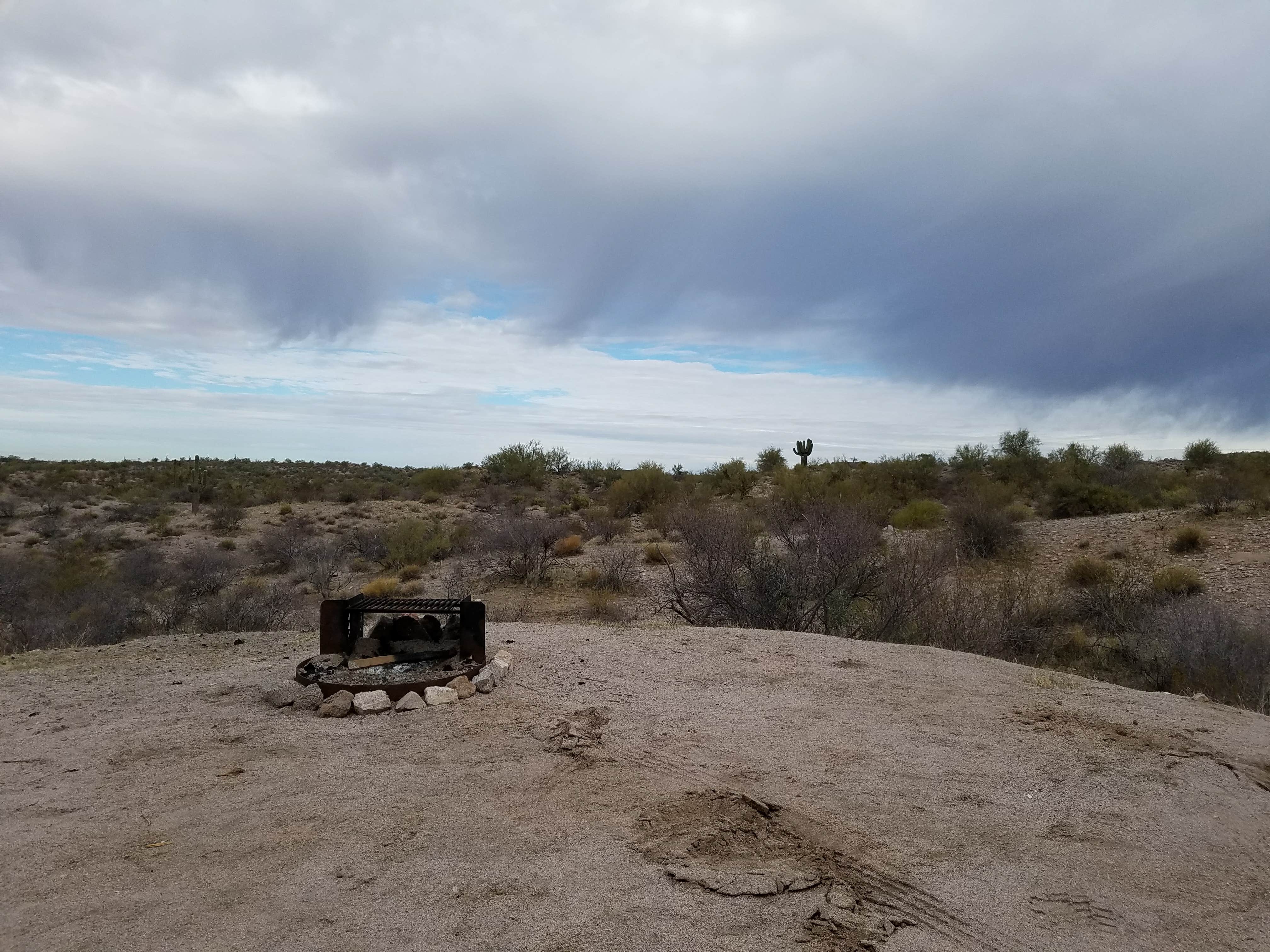 Camper-submitted photo at Constellation Park near Morristown, AZ