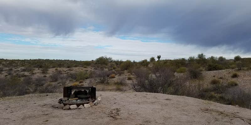 Camper submitted image from Constellation Park