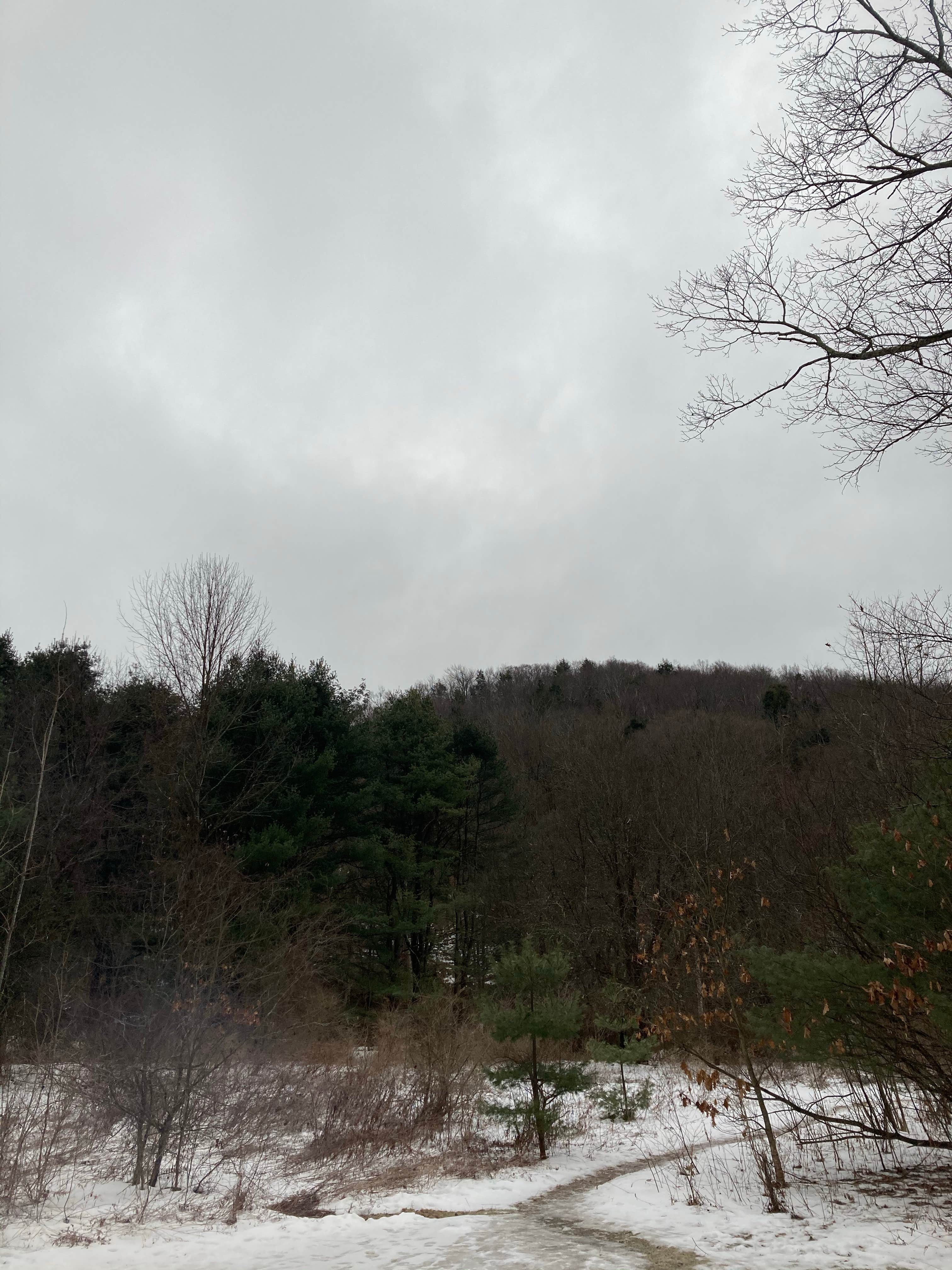 Camper-submitted photo at The Peekamoose Valley near Gilboa, NY