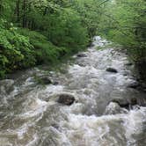 Review photo of Glade Creek Campground — New River Gorge National Park and Preserve by Dave V., May 29, 2018