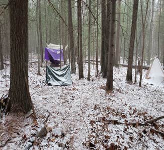 Camper-submitted photo from Michaux State Forest