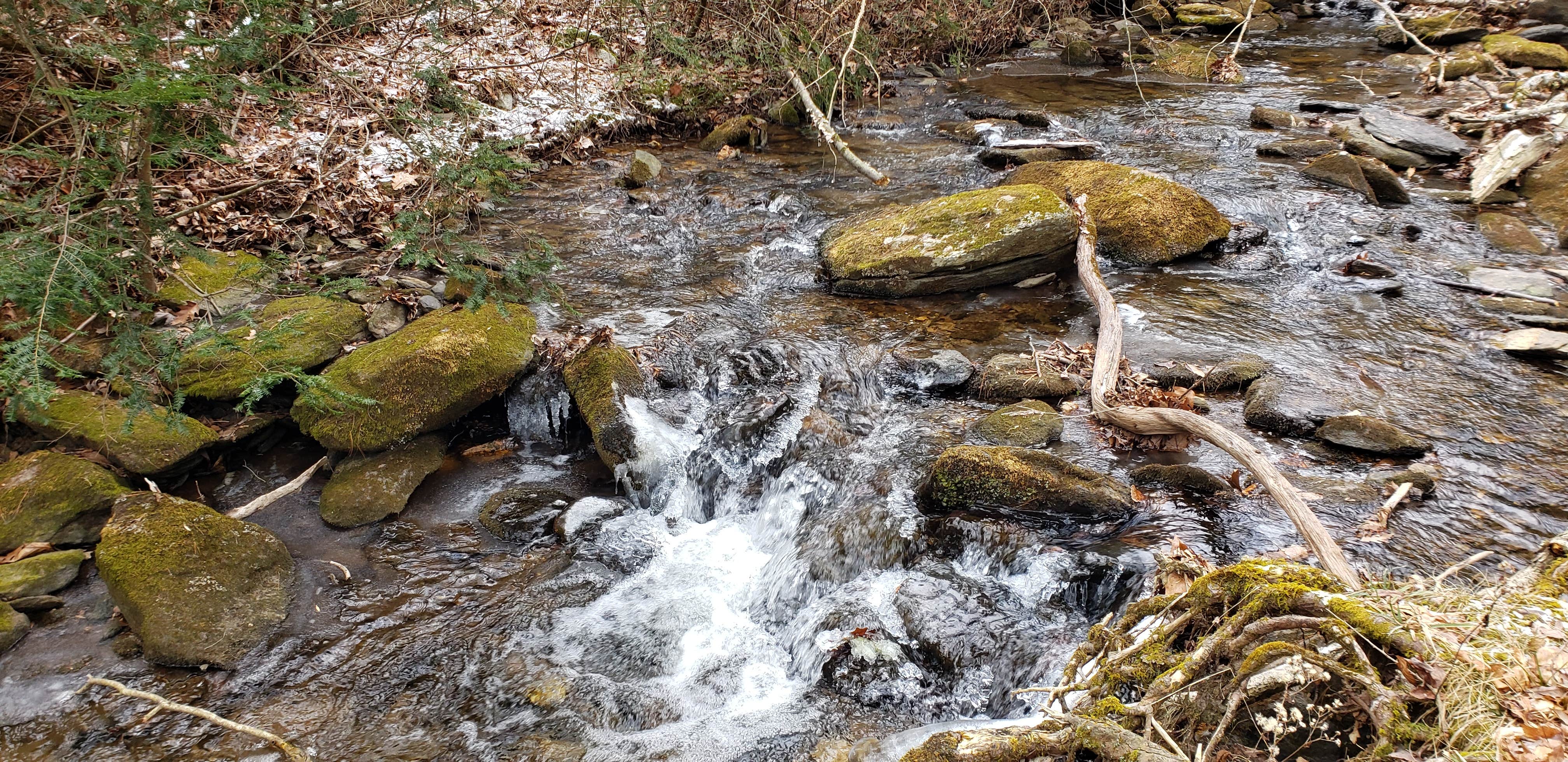 Camper-submitted photo at Michaux State Forest near Lineboro, MD