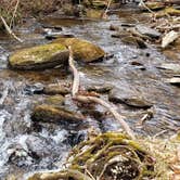 Review photo of Michaux State Forest by John S., October 28, 2020