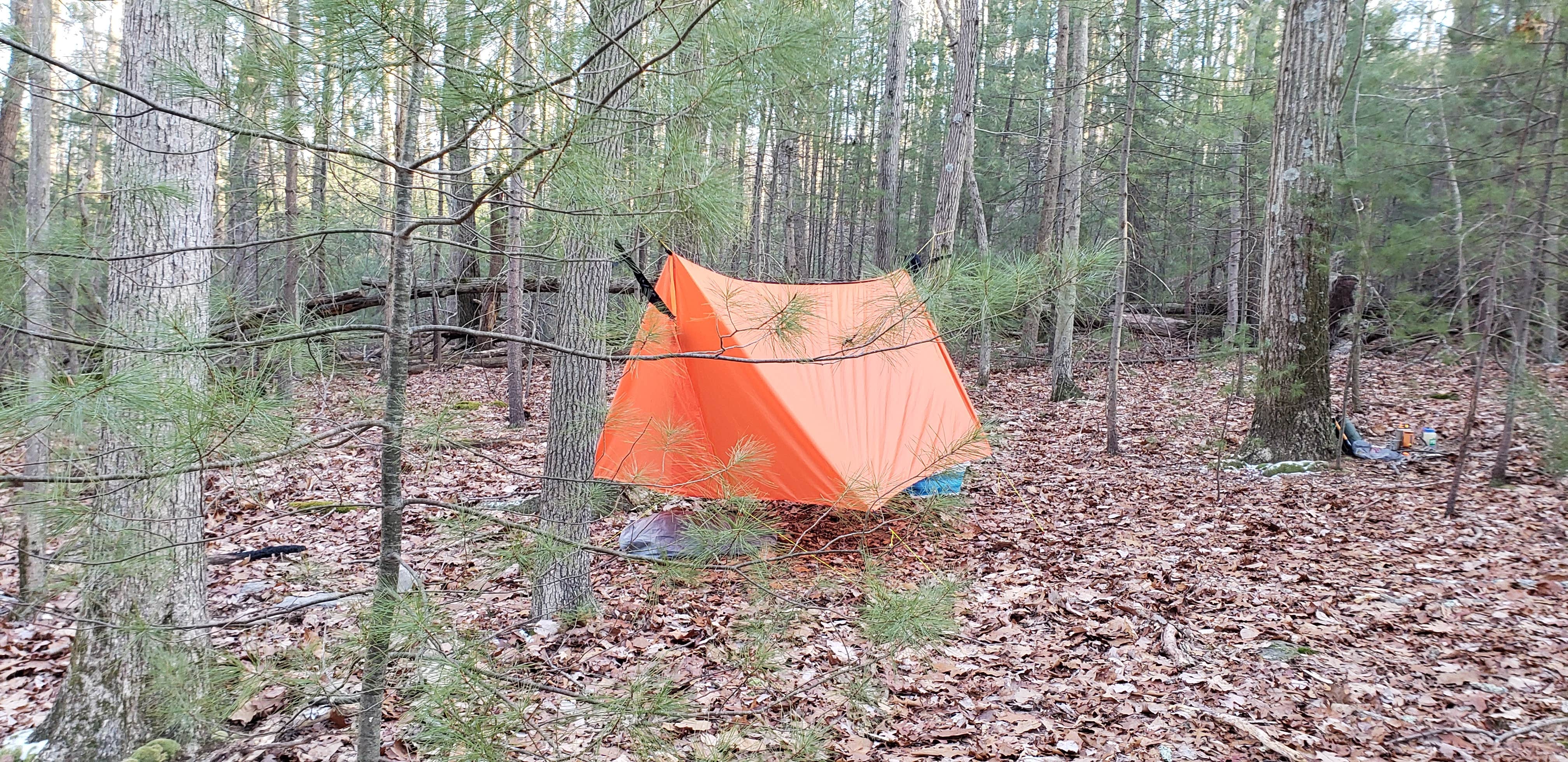 Camper-submitted photo at Michaux State Forest near Lineboro, MD