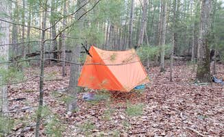 John S.'s photo at Michaux State Forest near Mont Alto, PA