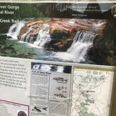 Review photo of Glade Creek Campground — New River Gorge National Park and Preserve by Dave V., May 29, 2018