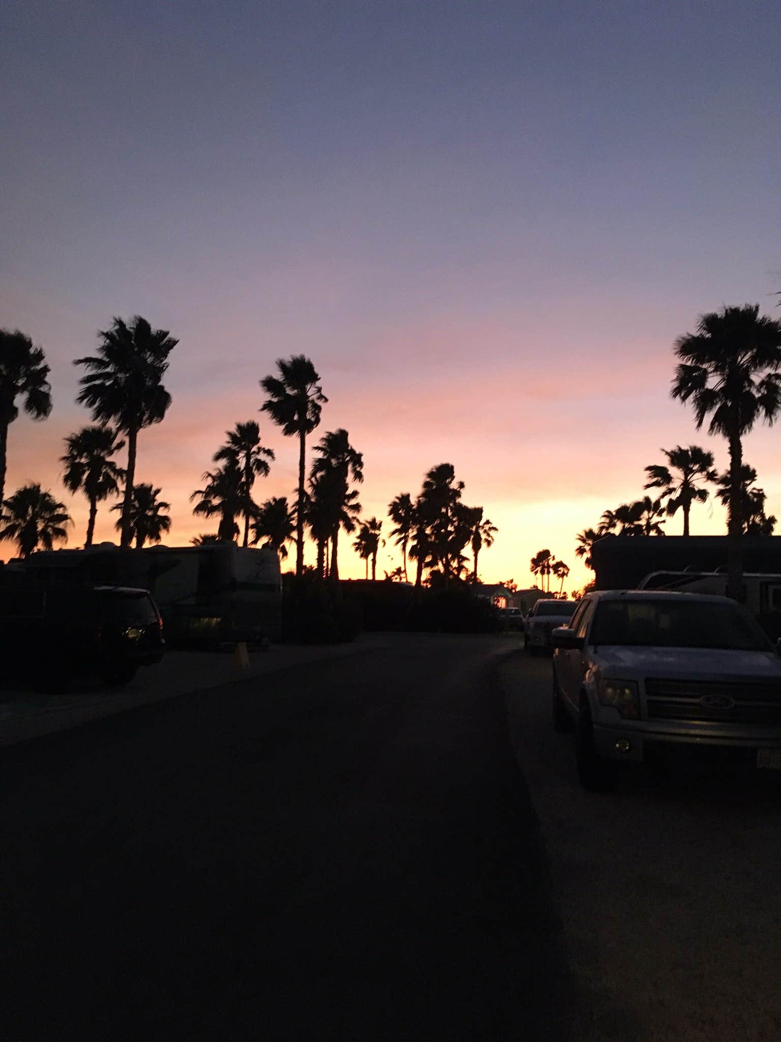 View All