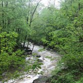 Review photo of Glade Creek Campground — New River Gorge National Park and Preserve by Dave V., May 29, 2018