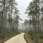 Review photo of Osceola National Forest Hog Pen Landing Campground by Abby M., February 13, 2021