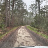 Review photo of Osceola National Forest Hog Pen Landing Campground by Abby M., February 13, 2021