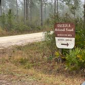 Review photo of Osceola National Forest Hog Pen Landing Campground by Abby M., February 13, 2021