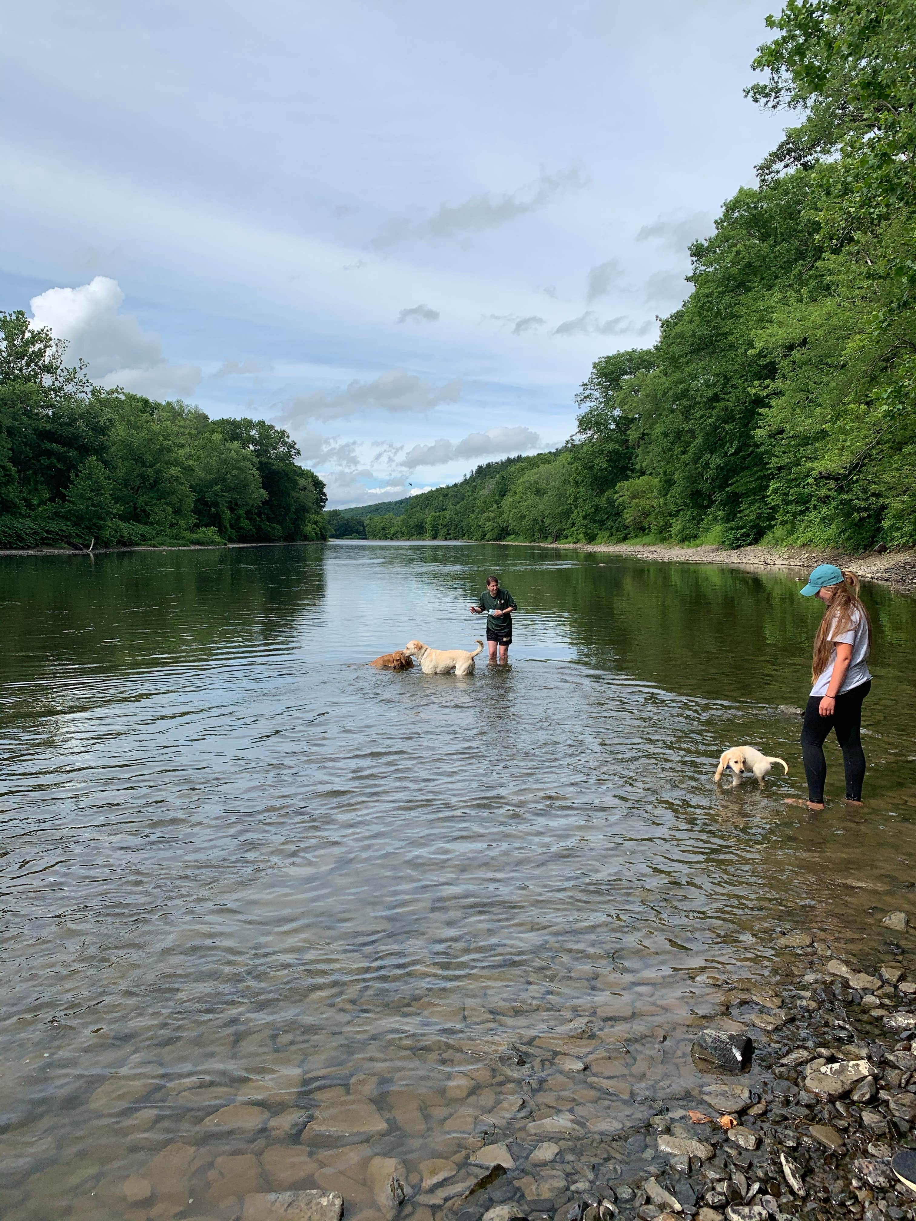 Camper-submitted photo at Chenango Valley State Park Campground near Newark Valley, NY