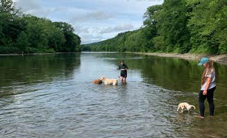 Carlyne F.'s photo of camping with pets at Chenango Valley State Park Campground near South Plymouth, NY