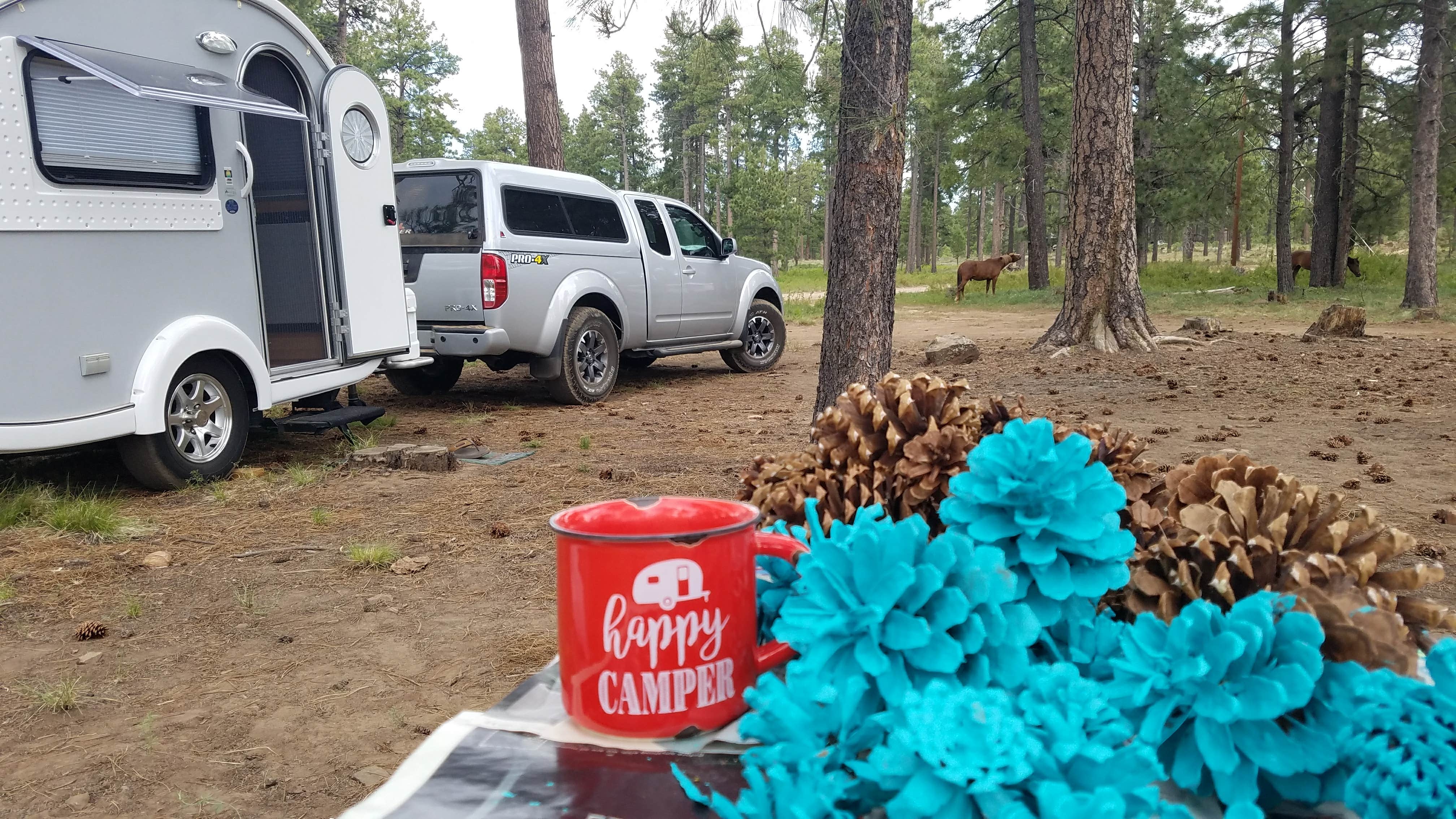 Camper-submitted photo at Fr 171 Campground near Cibecue, AZ