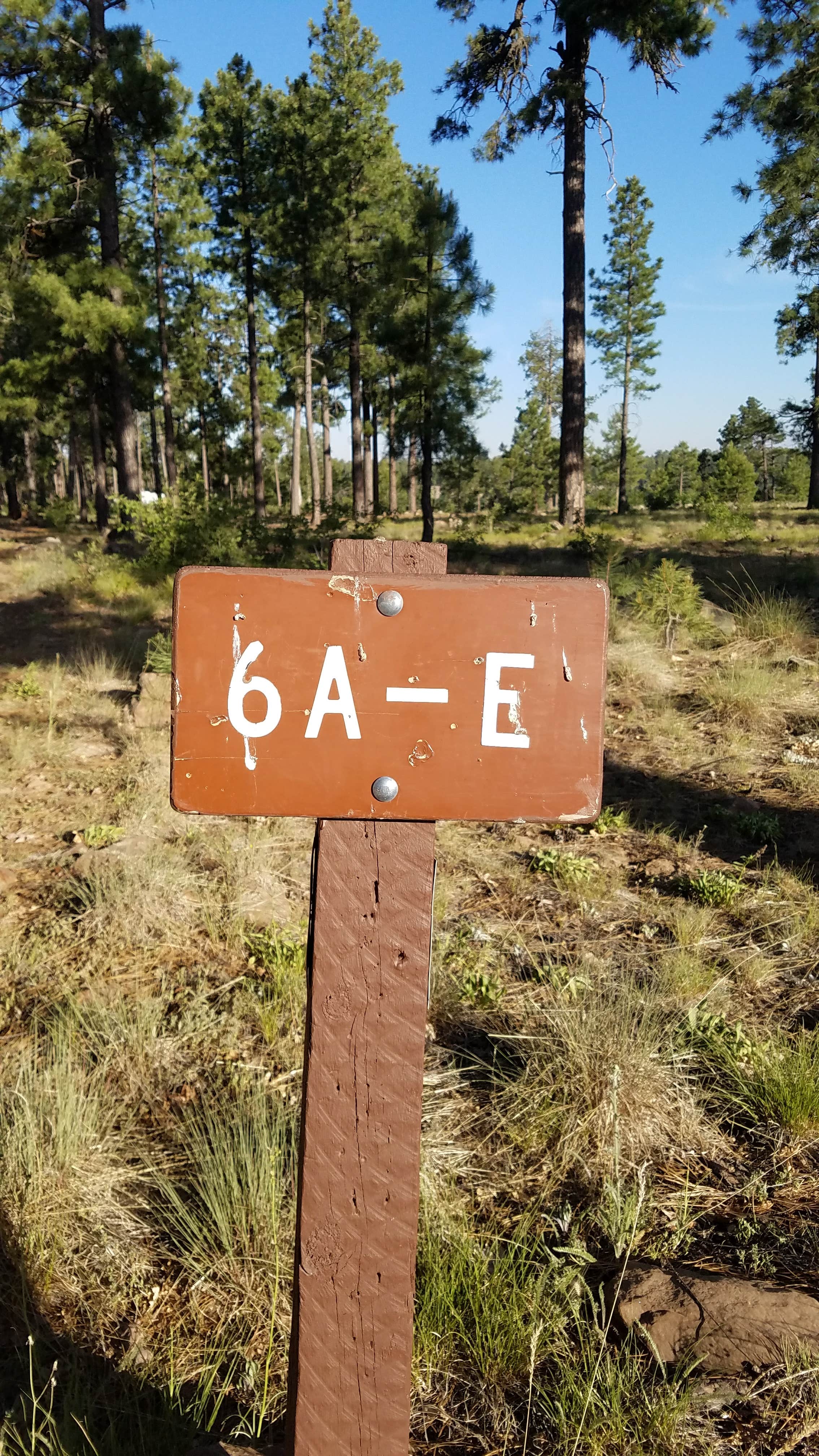 Camper-submitted photo at Fr 171 Campground near Cibecue, AZ