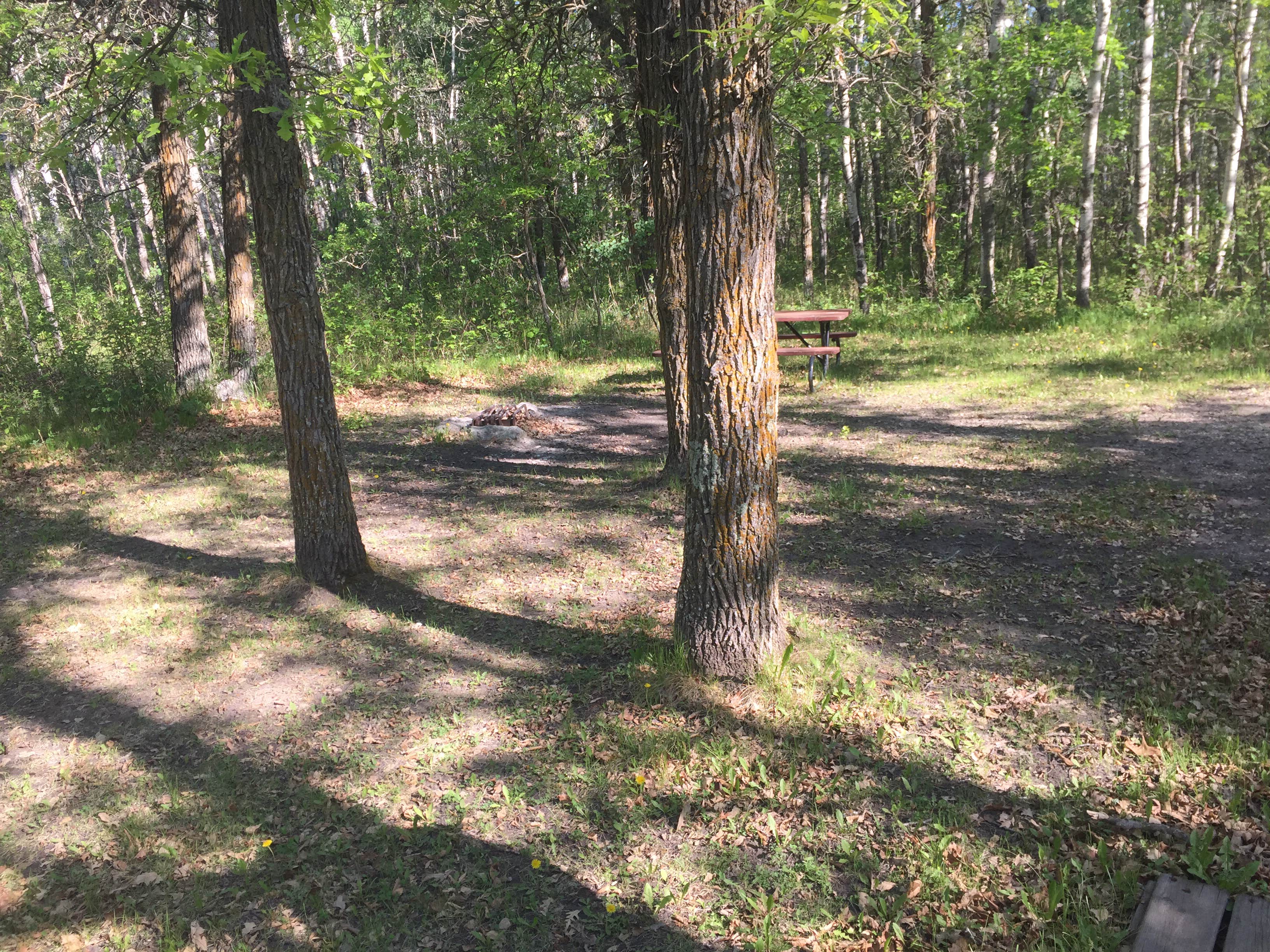 Camper-submitted photo at International Peace Garden near Towner, ND
