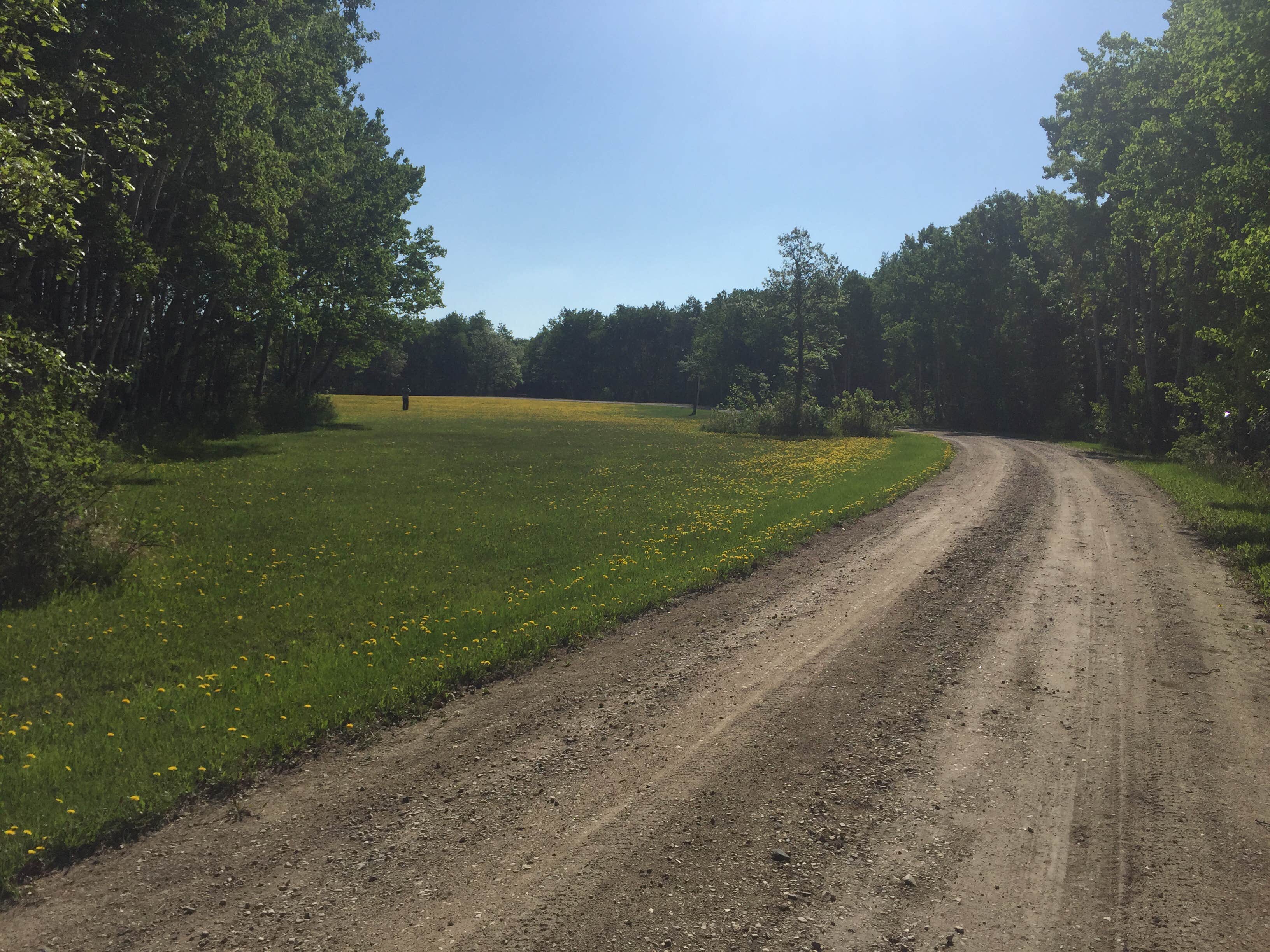 Camper-submitted photo at International Peace Garden near Towner, ND