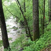 Review photo of Glade Creek Campground — New River Gorge National Park and Preserve by Dave V., May 29, 2018