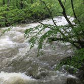 Review photo of Glade Creek Campground — New River Gorge National Park and Preserve by Dave V., May 29, 2018