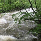 Review photo of Glade Creek Campground — New River Gorge National Park and Preserve by Dave V., May 29, 2018