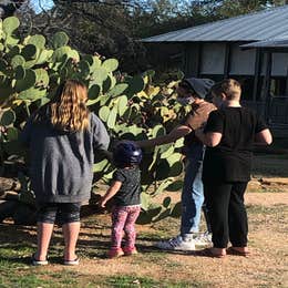 Canyon of the Eagles Lodge & Nature Park