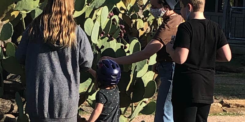 Camper submitted image from Canyon of the Eagles Lodge & Nature Park